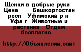 Щенки в добрые руки › Цена ­ 1 - Башкортостан респ., Уфимский р-н, Уфа г. Животные и растения » Отдам бесплатно   